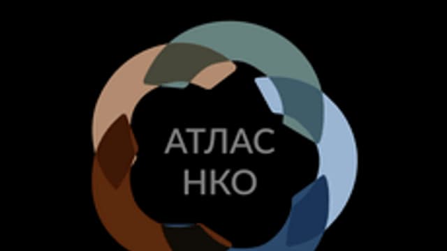 Обложка курса «Управление некоммерческой организацией» на Stepik