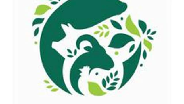 Обложка курса «Урок на тему: "Animals"» на Stepik