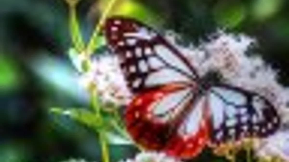 Обложка курса: Успех по-женски. Площадка: Складчик