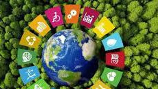 Обложка курса «Устойчивое развитие» на Stepik