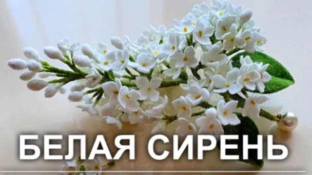 Обложка курса: Валяная брошь Белая сирень (Любовь Юринова). Площадка: Складчина.biz