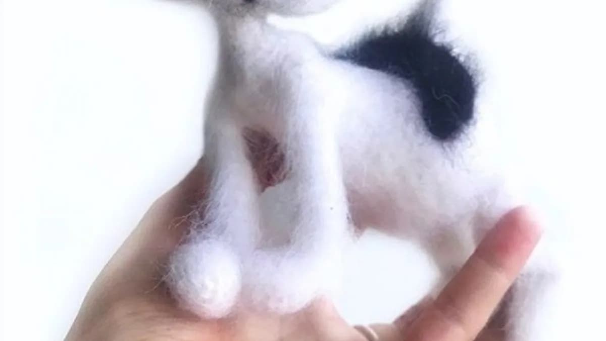 Обложка курса: [vazaniy_cat] Щенок Шарик (Ксения Щербинина). Площадка: Складчина.biz