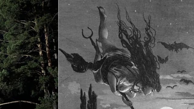 Обложка курса: Ведьма [Валерий Кошт]. Площадка: Складчик