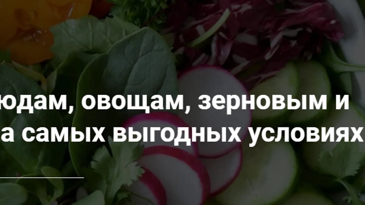 Обложка курса: Вего-Лего [Групповой] [yana_vegana]. Площадка: Складчик