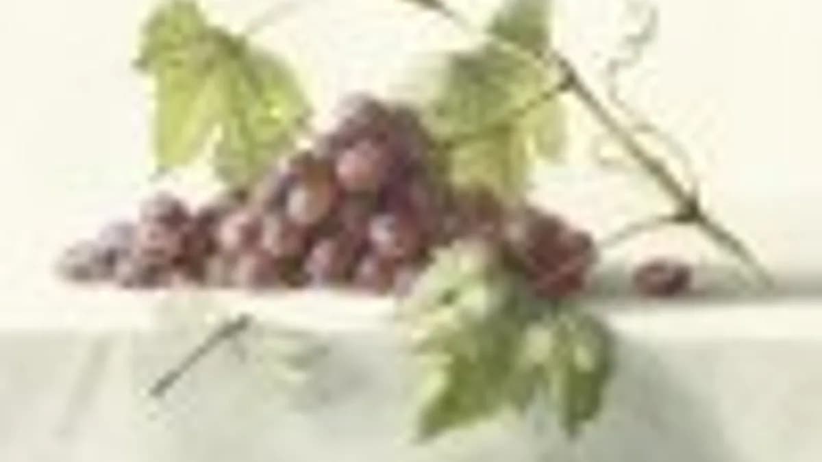 Обложка курса: Ветка винограда на мраморе [lectoroom] [Елена Базанова]. Площадка: Складчик