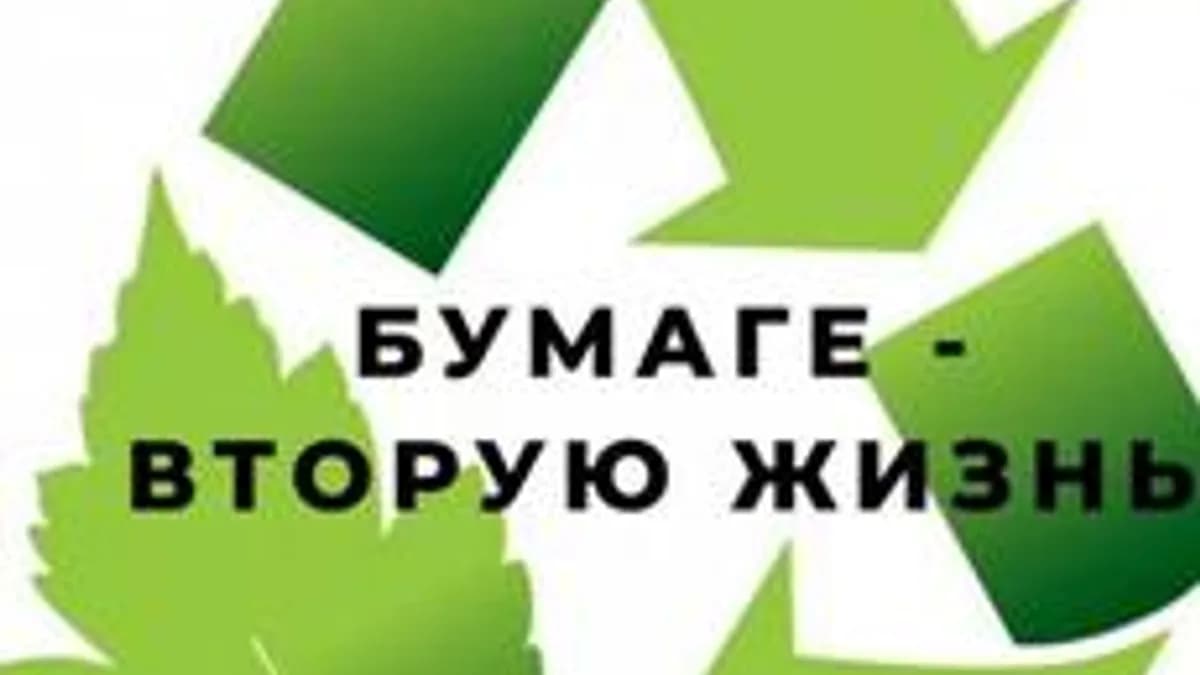 Обложка курса «Вторая жизнь бумаги» на Stepik