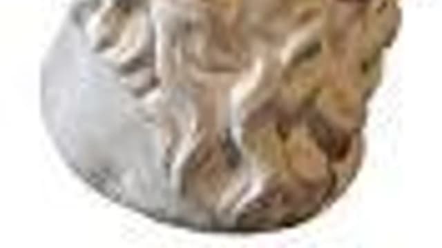 Обложка курса «Вводный курс Основы философии» на Stepik