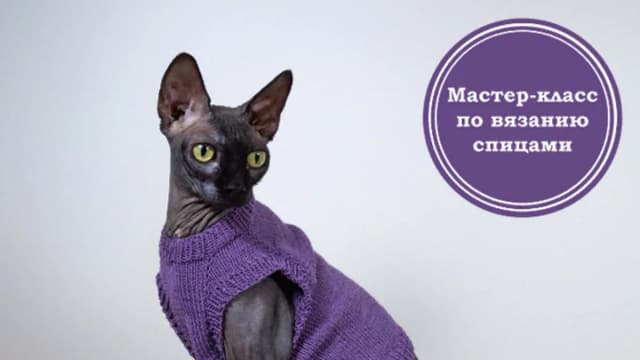 Обложка курса: Вязаная майка для взрослой кошки (Ирина Хорошаева). Площадка: Складчина.biz