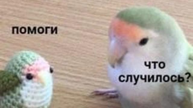 Обложка курса «Вязание крючком: основы» на Stepik
