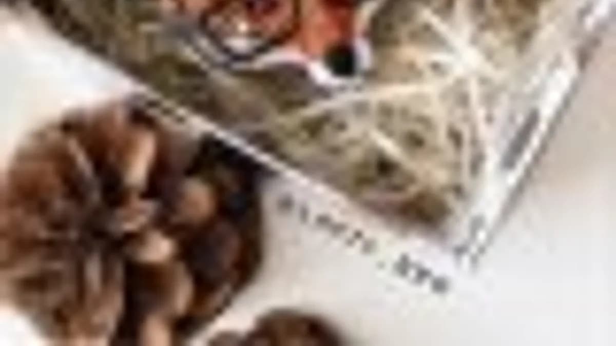 Обложка курса: [Вышивка] Вышивка броши Лис Strict_Fox [lafty_bro]. Площадка: Складчик