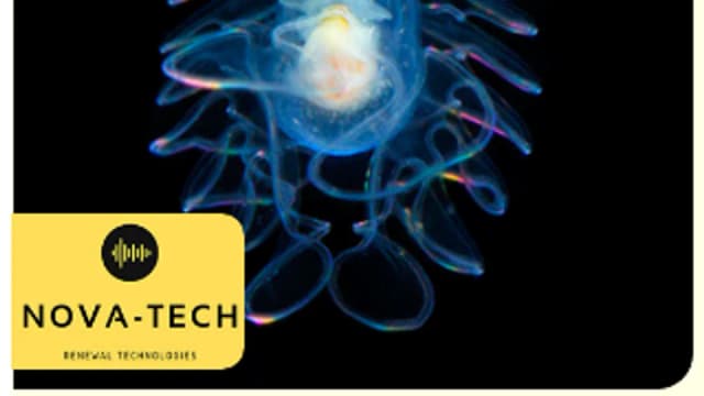 Обложка курса: Выведение паразитов [Nova-Tech]. Площадка: Складчик