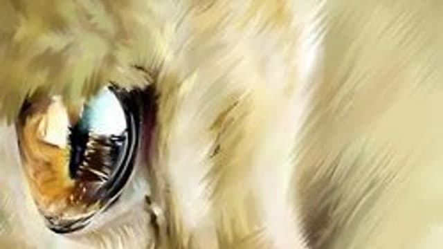 Обложка курса: Взгляд (Татьяна Букреева). Площадка: Складчина.biz
