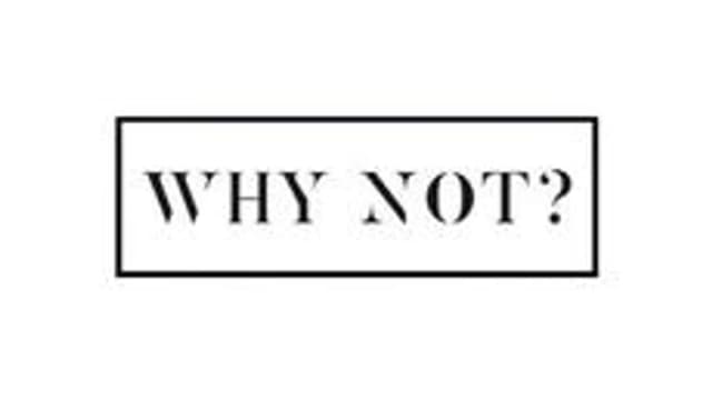Обложка курса «WhyNot?» на Stepik