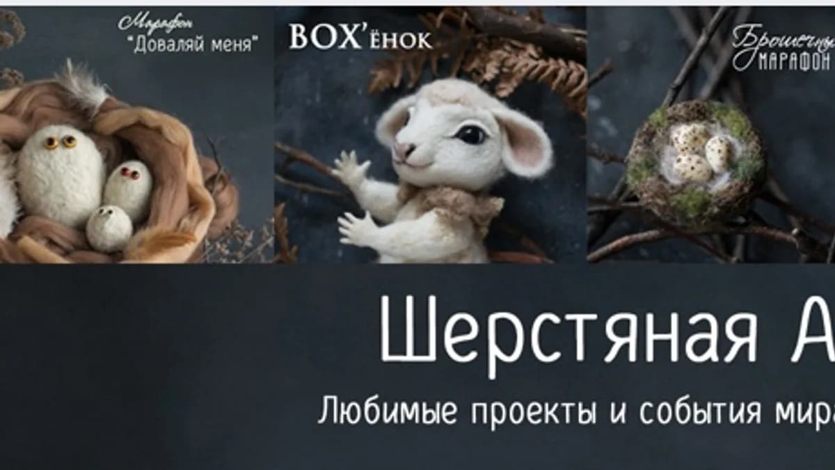 Обложка курса: [wool_afisha] Шерстяной лекторий (Ася Синявская). Площадка: Складчина.biz