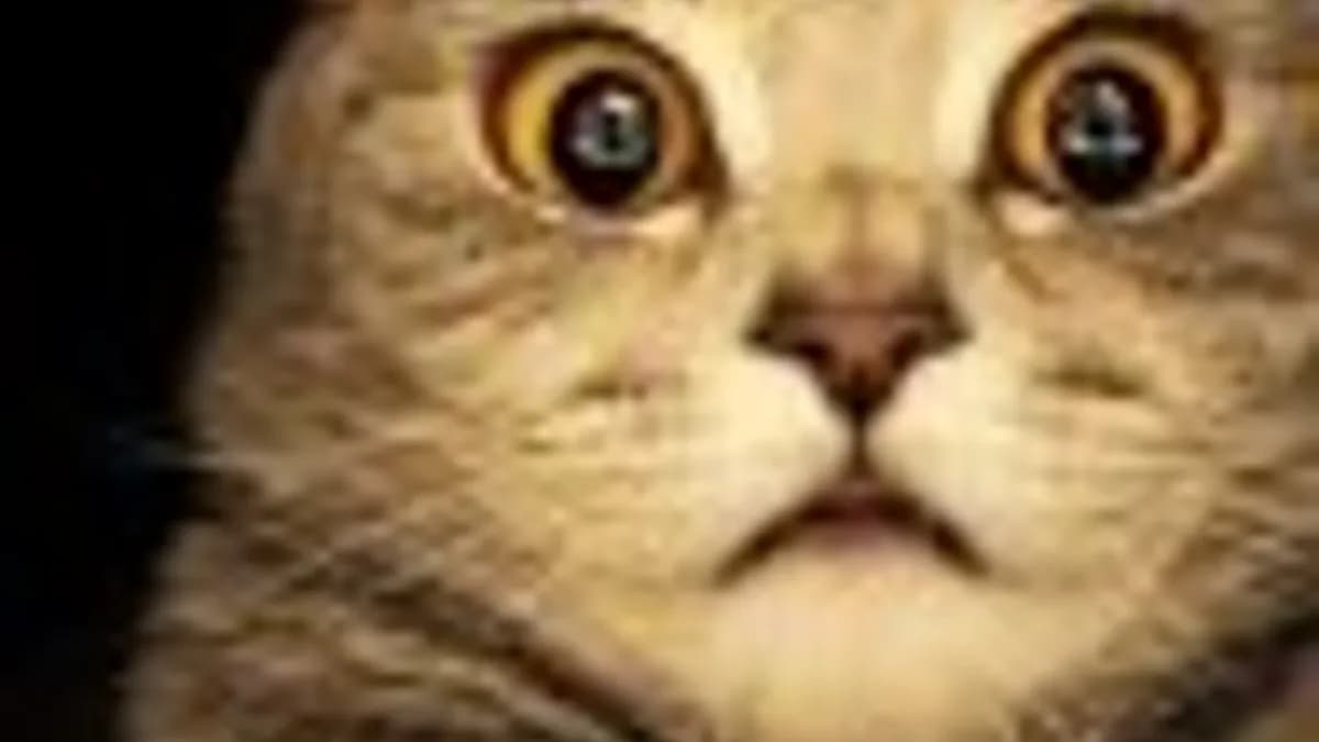 Обложка курса: [WP] Perfect SEO Url. Площадка: Складчик