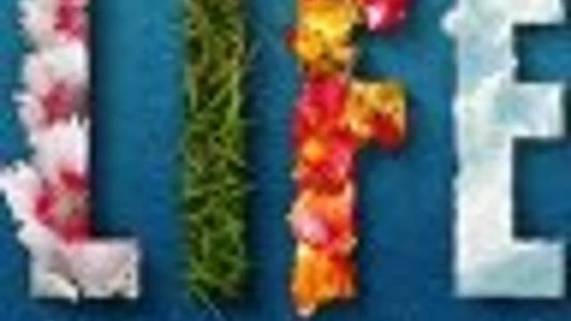 Обложка курса: Xenforo - создаем свой форум. Площадка: Складчик