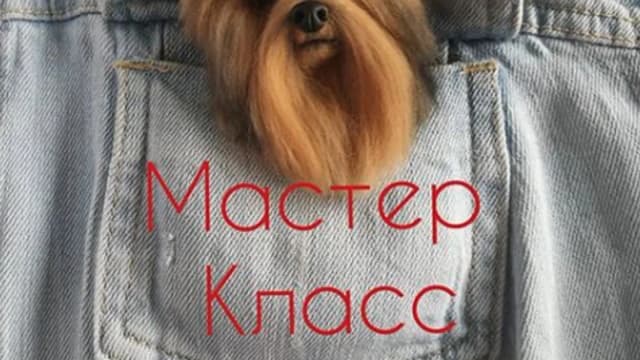Обложка курса: Йорик (mimivarezhki). Площадка: Складчик
