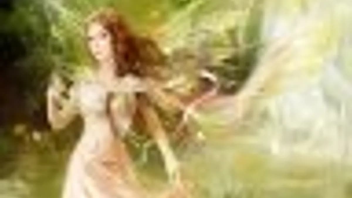 Обложка курса: Здоровье и красота живота. Площадка: Складчик