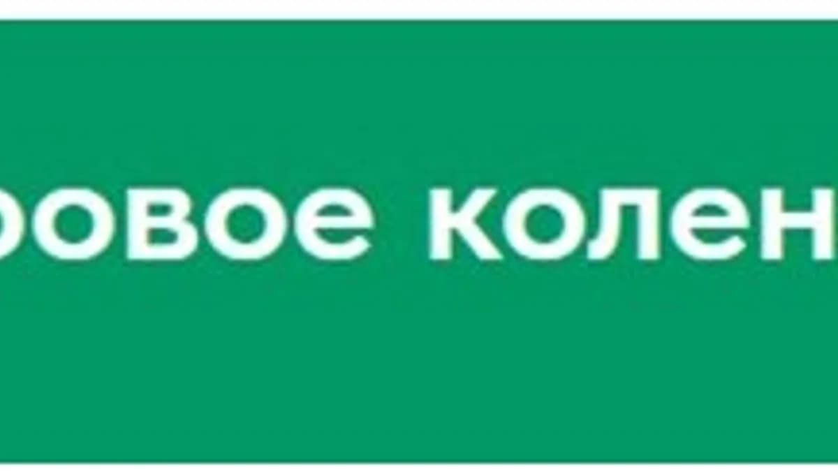 Обложка курса: Здоровое колено [Анатолий Канунов]. Площадка: Складчик