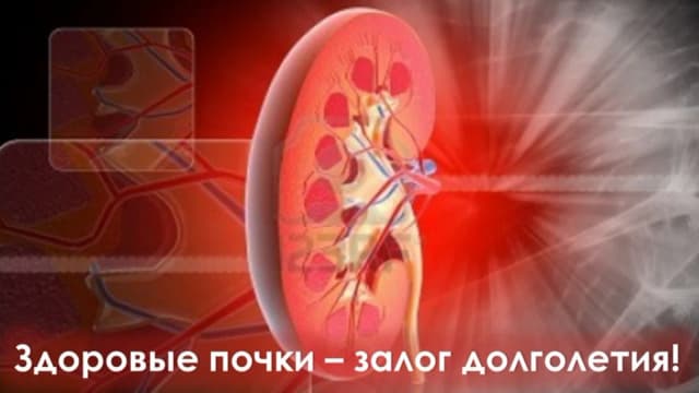 Обложка курса: Здоровые почки - залог долголетия (Ирина Дудник). Площадка: Складчина.biz