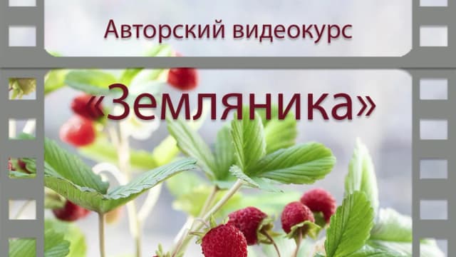 Обложка курса: Земляника (Наталья Желонкина). Площадка: Складчина.biz