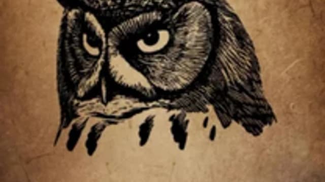 Обложка курса: Животные тотемы генных ключей [Сергей Ронжин]. Площадка: Складчик