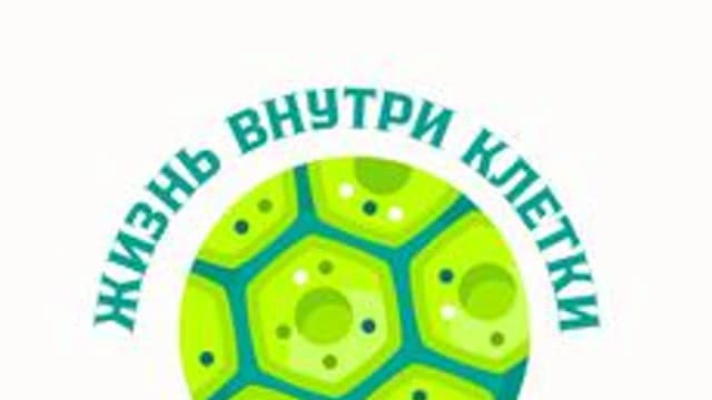 Обложка курса ««Жизнь внутри клетки»» на Stepik