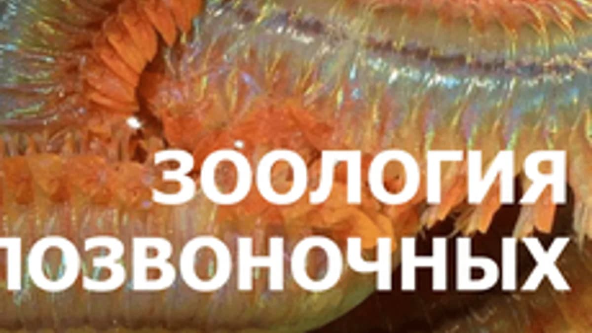 Обложка курса «Зоология беспозвоночных» на Stepik