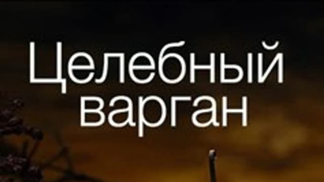 Обложка курса: Звукотерапия - волшебные звуки варгана. Площадка: Складчик