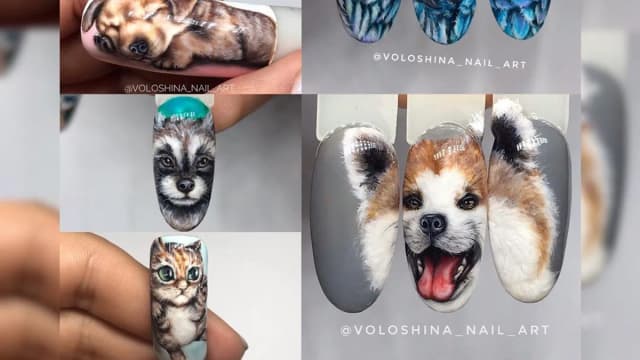 Обложка курса: ANIMALS (Элина Волошина). Площадка: Складчик