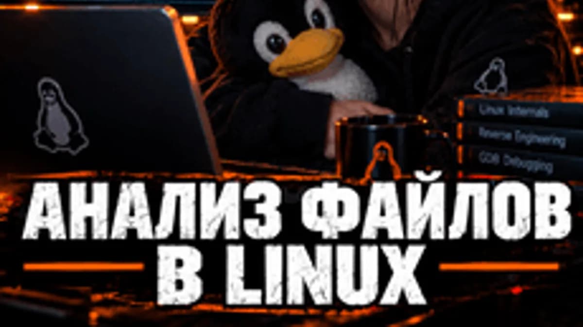 Обложка курса «Белый хакер: анализ файлов в Linux» на Stepik