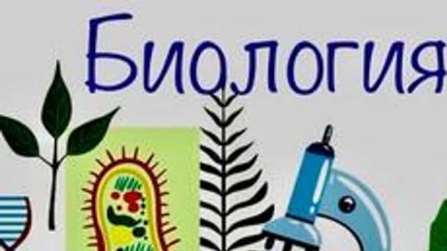 Обложка курса «Биология и строение клетки» на Stepik