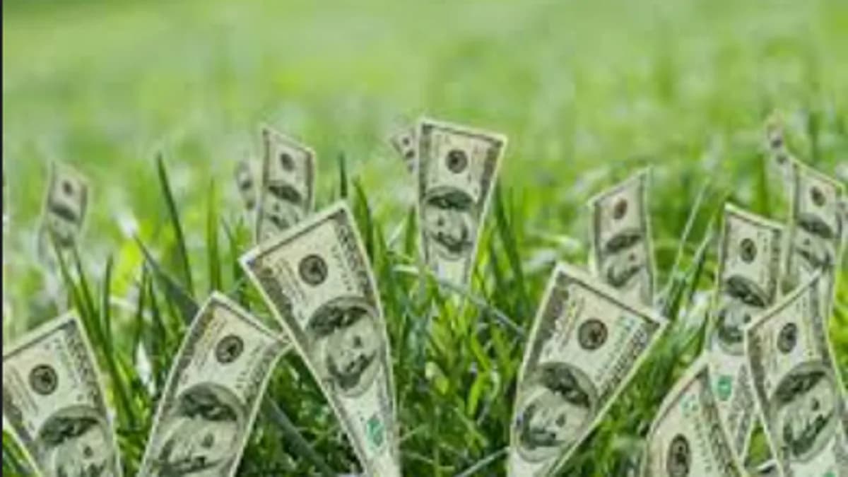 Обложка курса: Денежный поток 4.0 (Евгений Турняк). Площадка: Складчина.biz
