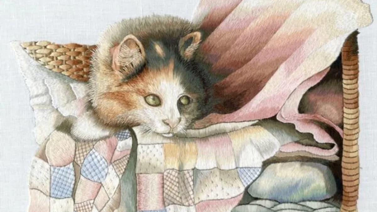 Обложка курса: Embroidery DVD. Вышивка на ДВД (Триш Бурр). Площадка: Складчина.biz