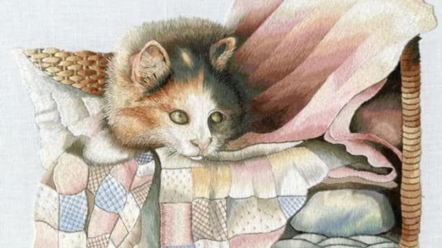 Обложка курса: Embroidery DVD. Вышивка на ДВД (Триш Бурр). Площадка: Складчина.biz