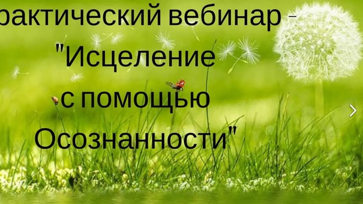 Обложка курса: Исцеление с помощью осознанности (Светлана Самойлова). Площадка: Складчина.biz