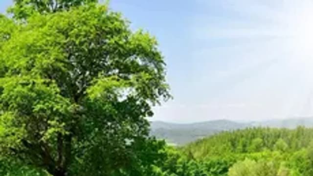 Обложка курса «Изучение природы» на Stepik