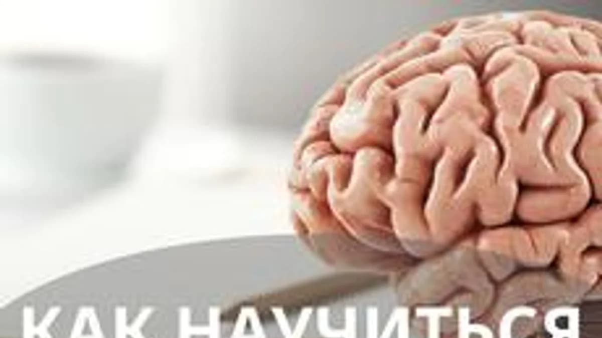 Обложка курса «Как научиться учиться? Эффективные методы без воды» на Stepik
