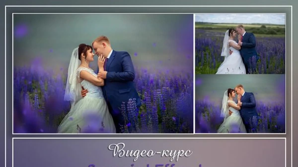 Обложка курса: Художественные эффекты «Special Effects», 2016 (Алина Каютина). Площадка: Складчина.biz