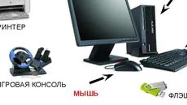 Обложка курса «Компьютер и его устройство» на Stepik
