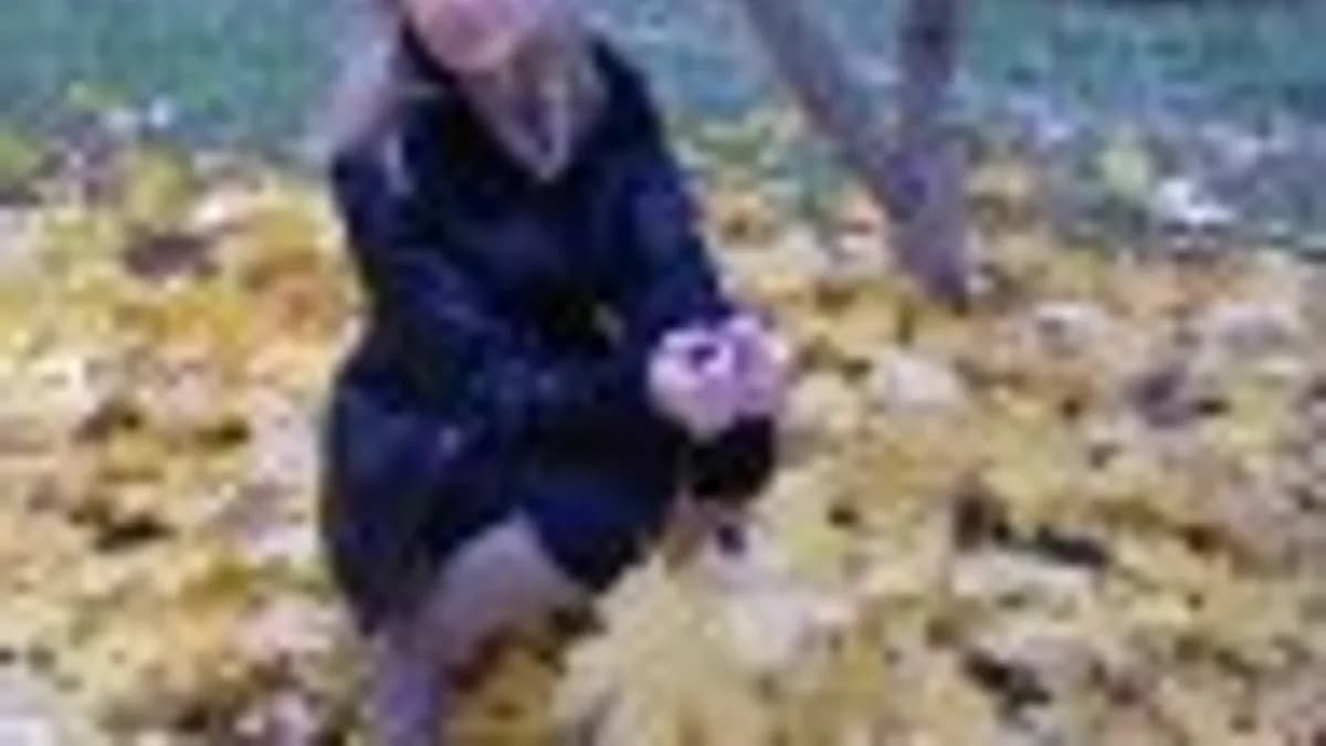 Обложка курса: Конспекты комплексных развивающих занятий для детей 1-2 года. С. Тимофеева. Февраль-июнь.. Площадка: Складчик