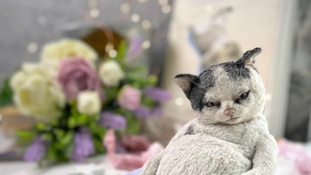 Обложка курса: Котик (Татьяна Баканова). Площадка: Складчина.biz