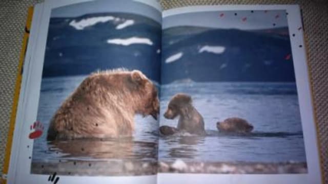 Обложка курса: Мамы, папы и детёныши. Животные России (Валерий Малеев). Площадка: Складчина.biz