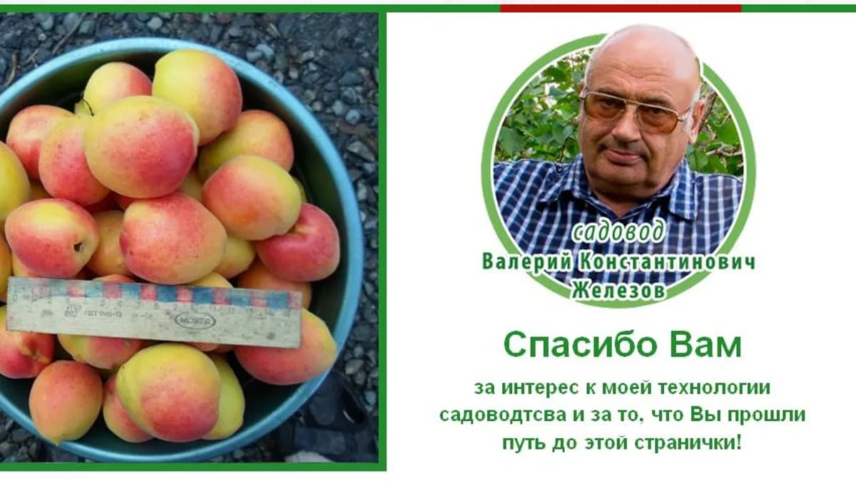 Обложка курса: Мастер-класс по созданию сада Валерия Железова. Площадка: Складчик