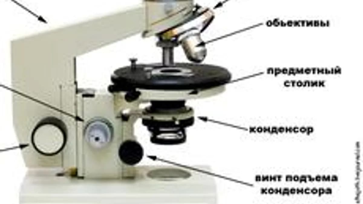 Обложка курса «Микробиология, санитария и гигиена в пищевом производстве» на Stepik