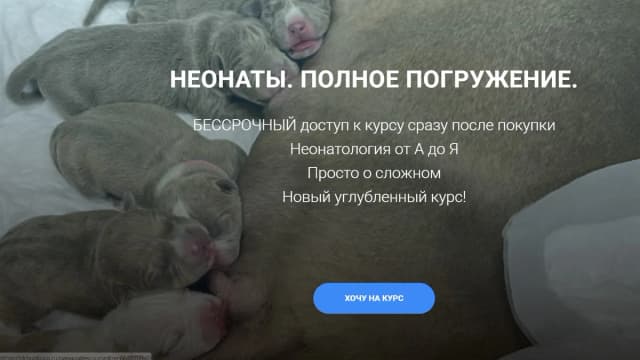 Обложка курса: Неонаты. Полное погружение (Софья Бунькова). Площадка: Складчина.biz