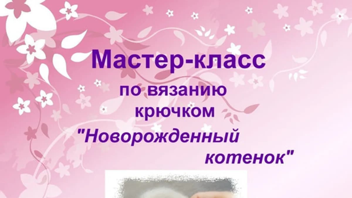 Обложка курса: Новорожденный котенок (Татьяна Коротких). Площадка: Складчина.biz