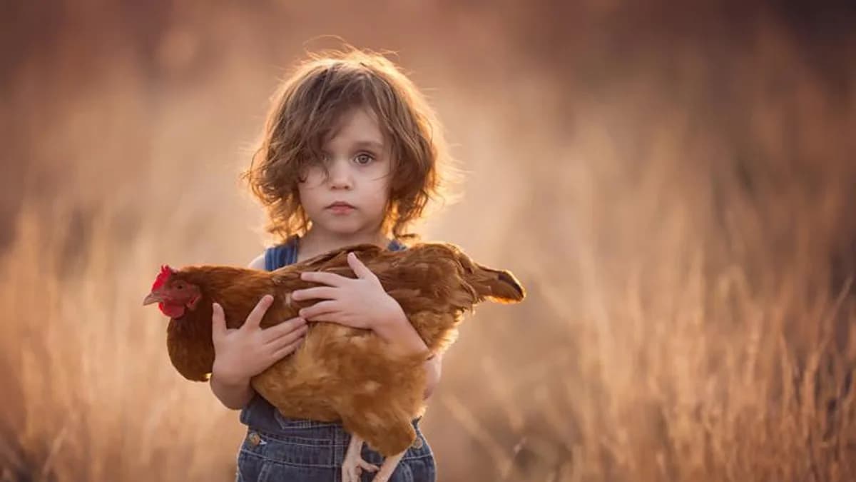Обложка курса: Обработка фотографий, на английском (Lisa Holloway). Площадка: Складчина.biz