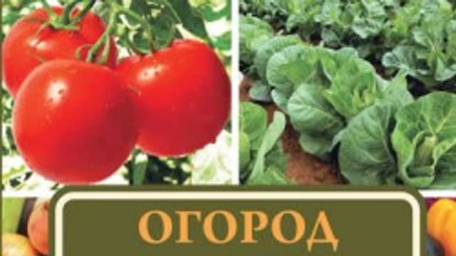 Обложка курса: Огород по всем правилам. Секреты мастерства (Татьяна Ситникова). Площадка: Складчина.biz
