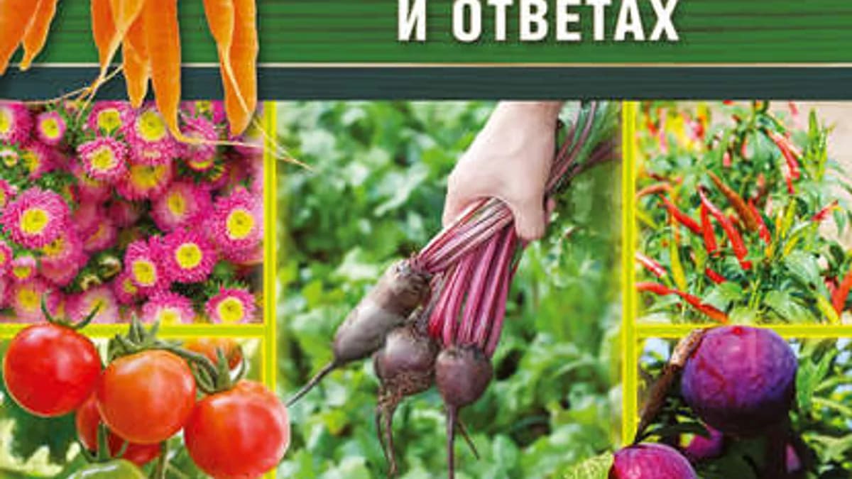 Обложка курса: Огород, сад, цветник в вопросах и ответах / 5000 разумных советов, правил, секретов садоводам и .... Площадка: Складчик